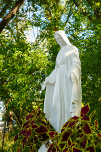 A statue of the Virgin Mary surrounded by lush greenery outside St. Charles Retreat Centre.