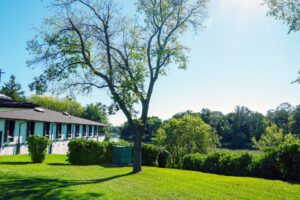A tree stands in the foreground, overlooking the river beside St. Charles Retreat Centre.